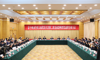 贵州省代表团开放团组活动 李炳军：政府过紧日子是为了让老百姓过好日子