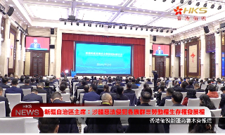 【视频】新疆自治区主席:涉疆恶法侵犯各族群众劳动权生存权发展权