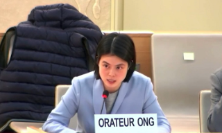 港青在联合国人权理事会发言：香港...