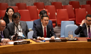 耿爽：“两国方案”是国际社会共识 冀6月国际会议为此助力